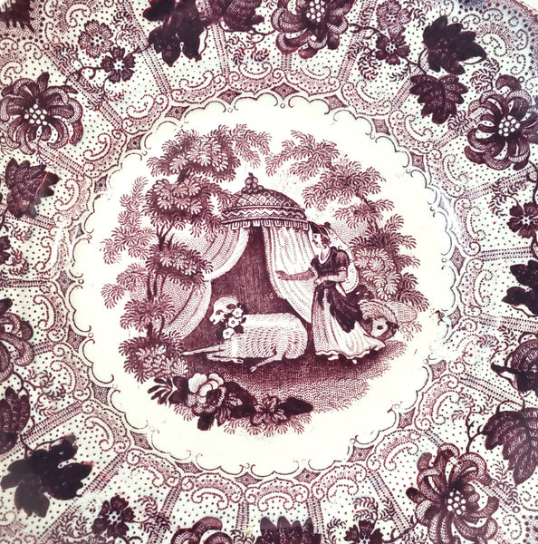 Antique Purple Transferware Handleless Cup & Saucer "The Pet" by Adams England