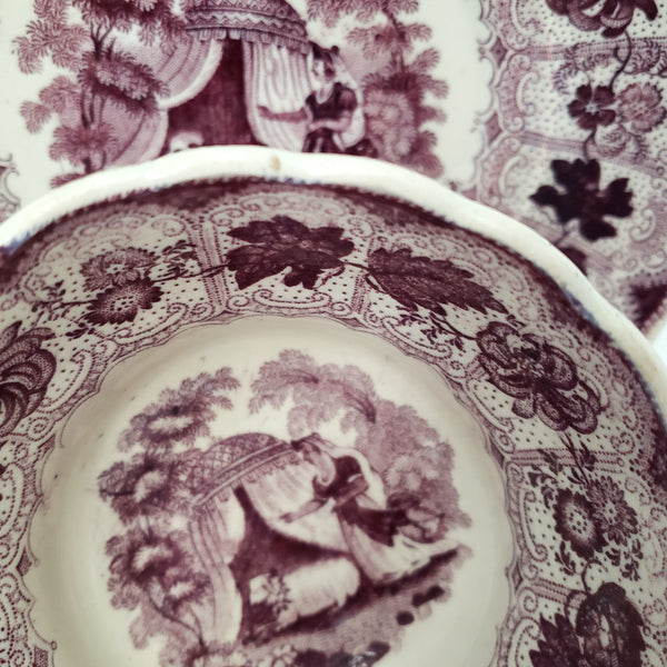 Antique Purple Transferware Handleless Cup & Saucer "The Pet" by Adams England