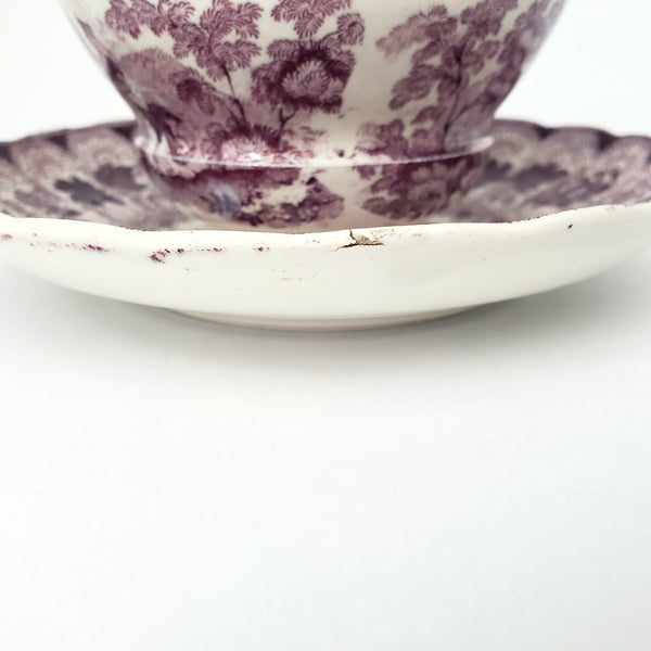 Antique Purple Transferware Handleless Cup & Saucer "The Pet" by Adams England