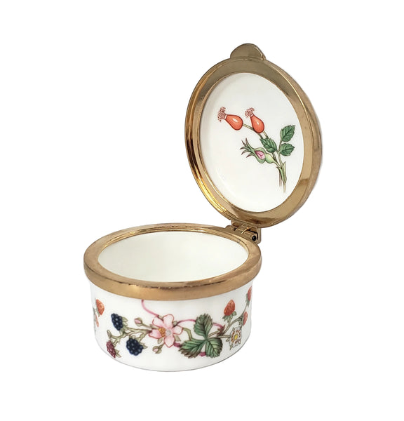 Aynsley Somerset Bone China Trinket Box Container Botanical Berries & Floral England