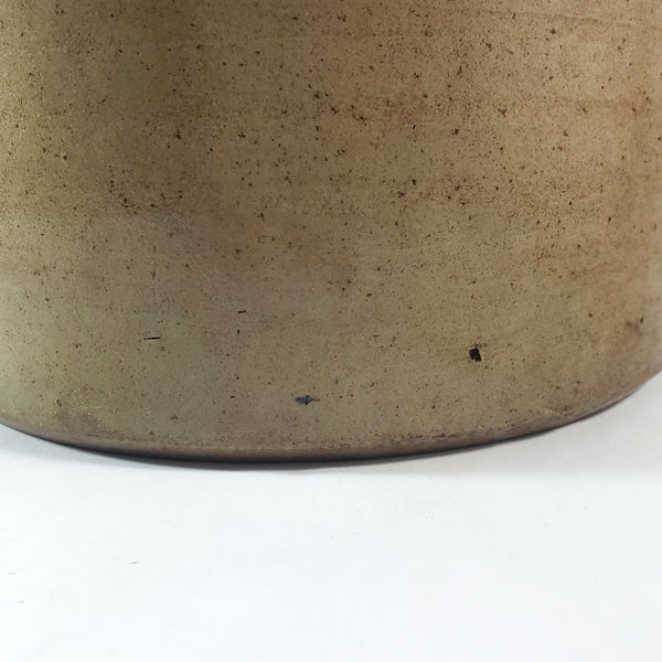 Antique Salt Glazed Stoneware Crock 1 Gallon Double Handles