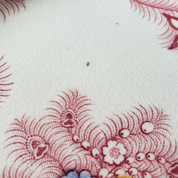 Antique Pink Feather Transferware 9” Plates Set of 2 Wood & Challinor Staffordshire England