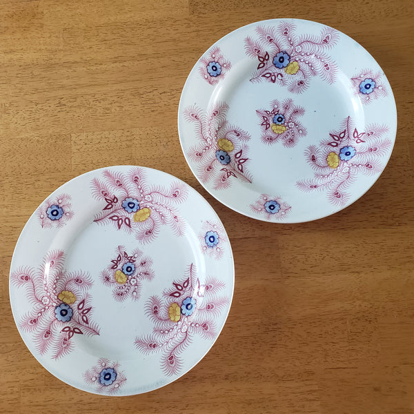 Antique Pink Polychrome Transferware 9” Plates Feather Pattern Set of 2 Wood & Challinor Staffordshire England