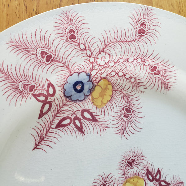 Antique Pink Feather Transferware 9” Plates Set of 2 Wood & Challinor Staffordshire England