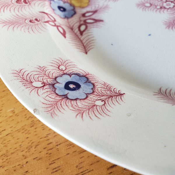Antique Pink Feather Transferware 9” Plates Set of 2 Wood & Challinor Staffordshire England