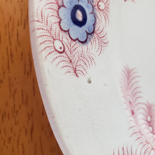 Antique Pink Feather Transferware 9” Plates Set of 2 Wood & Challinor Staffordshire England