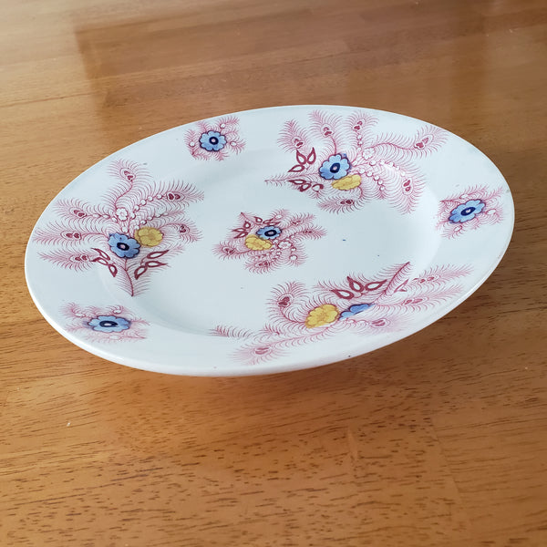 Antique Pink Feather Transferware 9” Plates Set of 2 Wood & Challinor Staffordshire England