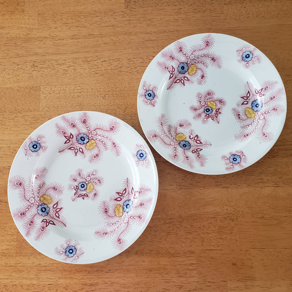 Antique Pink Feather Transferware 9” Plates Set of 2 Wood & Challinor Staffordshire England