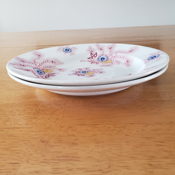 Antique Pink Feather Transferware 9” Plates Set of 2 Wood & Challinor Staffordshire England