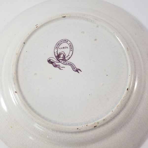 Antique Ironstone Purple Transfer Plates TYROL Set of 2 John Wedgwood England