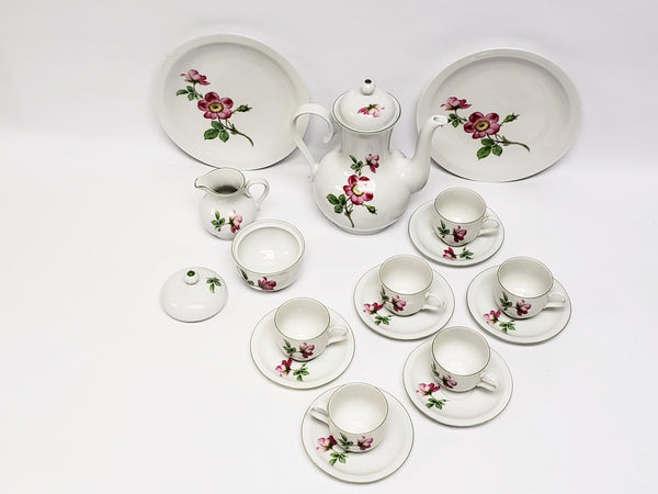 Demitasse Tea Set 19 pieces by Bareuther Waldsassen Bavaria-Germany