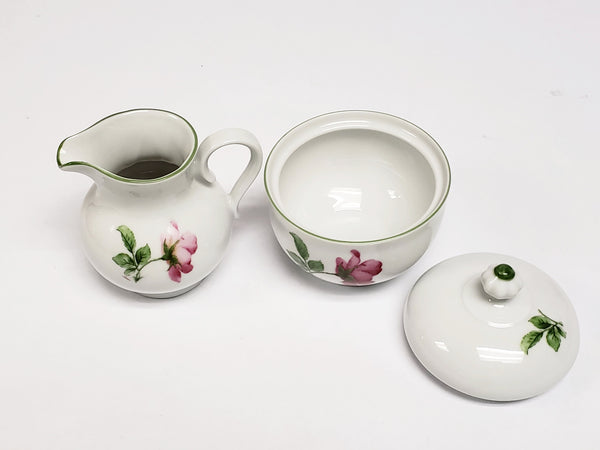 Demitasse Tea Set 19 pieces by Bareuther Waldsassen Bavaria-Germany