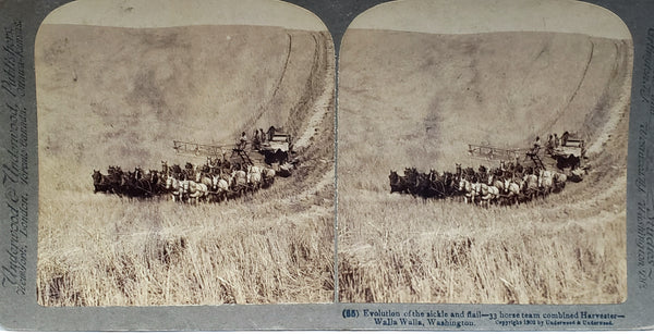 19th Century Wooden Stereoscope Photo Viewer w/ 19 Black & White Photo Cards Landmarks & More ~ 1895