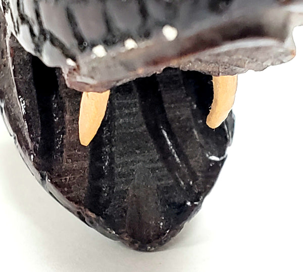 Unusual Wood Carved Paper Knife, Mythical Figural Serpent Snake Head