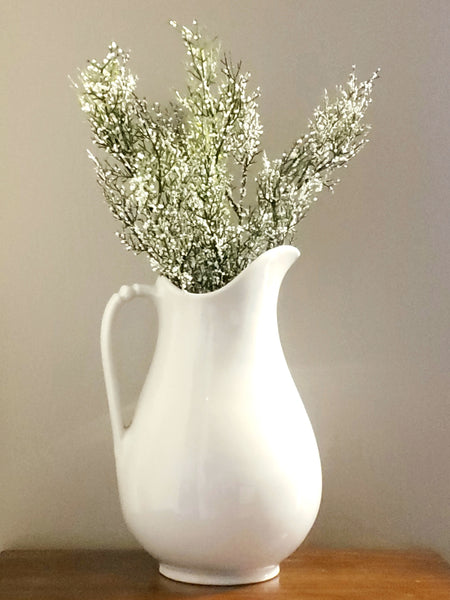 Antique English White Ironstone Pitcher by W & E Corn Burslem, England c 1800's