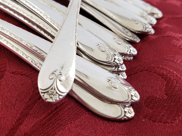 WM Rogers & Son IS Silver Plate Flatware Exquisite Pattern, 57 Piece c. 1940's