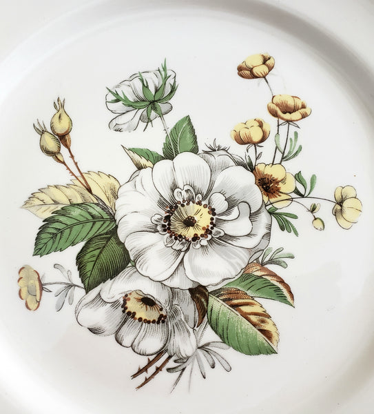 Canonsburg Dinner Plates "Linda" White Magnolia Floral Gold Trim Set of 7