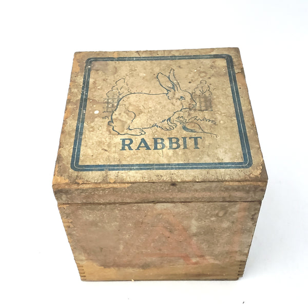 Antique ABC Alphabet Blocks in Wooden Box - Collection of 64